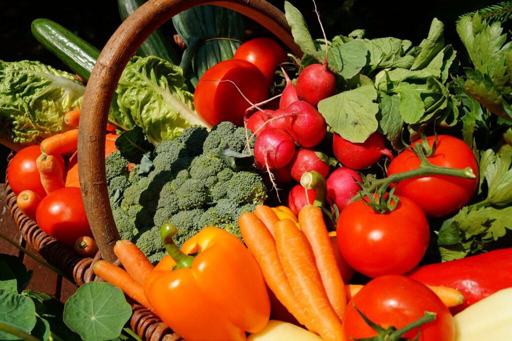 Abonos orgánicos para hortalizas